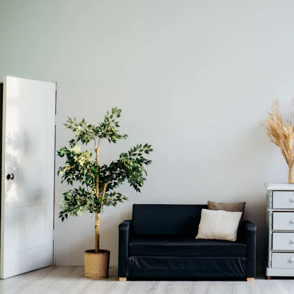 Minimal room corner with a navy sofa, white dresser and dried pampas grass
